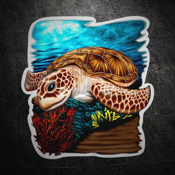Car & Motorbike Stickers: Sea turtle in colour