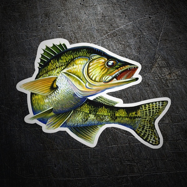 Car & Motorbike Stickers: Sea bass