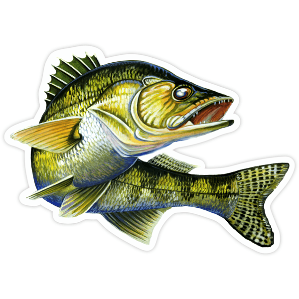 Car & Motorbike Stickers: Sea bass