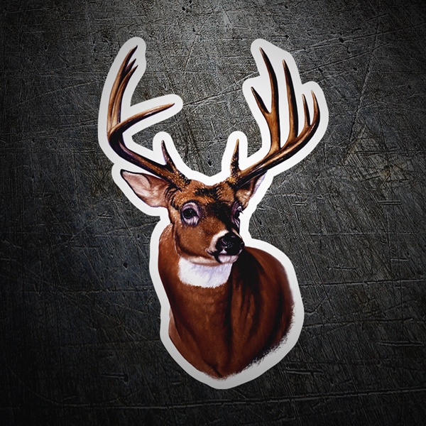 Car & Motorbike Stickers: Adult deer head