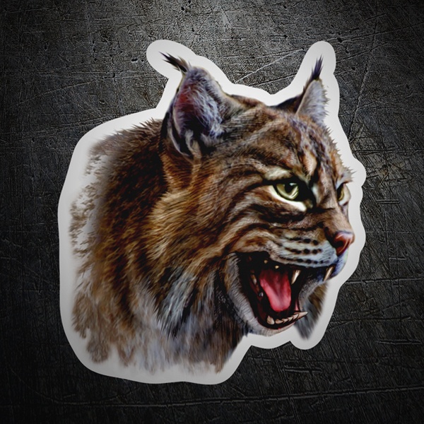 Car & Motorbike Stickers: Iberian lynx