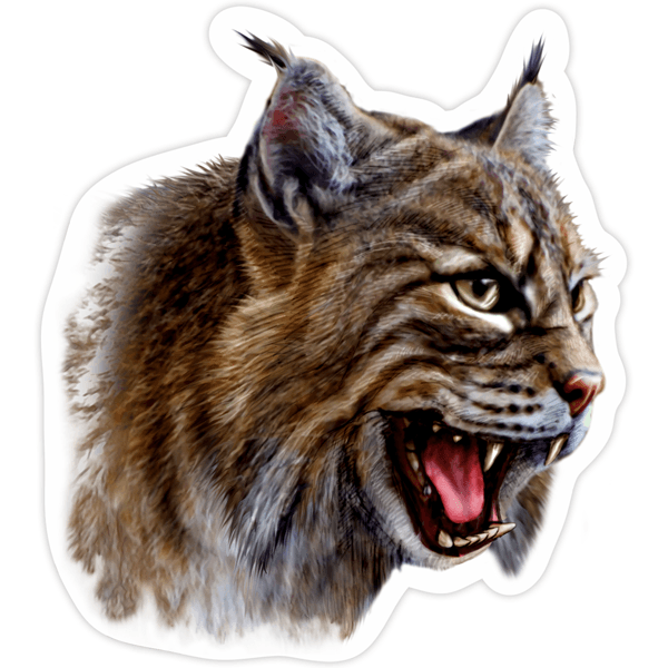 Car & Motorbike Stickers: Iberian lynx