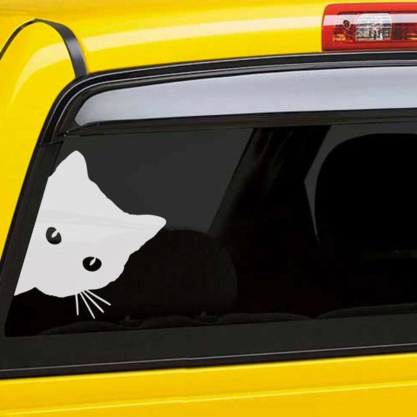 Car & Motorbike Stickers: Curious Cat