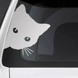 Car & Motorbike Stickers: Curious Cat 3