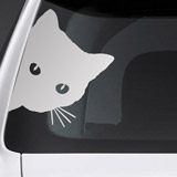 Car & Motorbike Stickers: Curious Cat 3