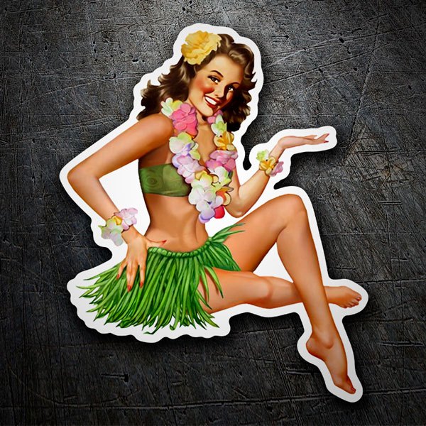 Car & Motorbike Stickers: Hawaiian 50 1