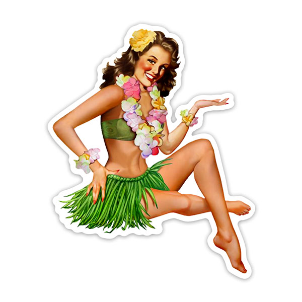 Car & Motorbike Stickers: Hawaiian 50