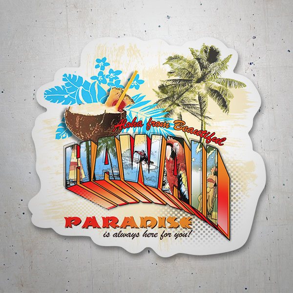 Car & Motorbike Stickers: Hawaii Paradise