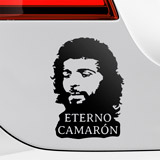 Car & Motorbike Stickers: Silhouette of Camar&oacute;n with Text 2
