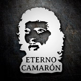 Car & Motorbike Stickers: Silhouette of Camar&oacute;n with Text 3