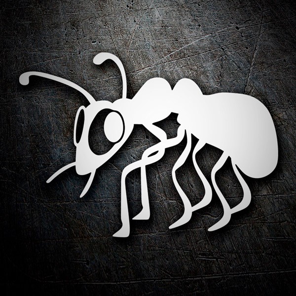 Car & Motorbike Stickers: Ant