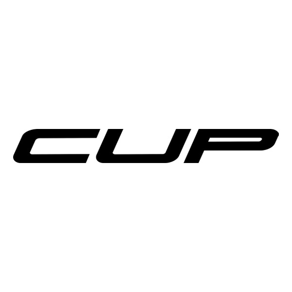 Car & Motorbike Stickers: Renault Clio Cup