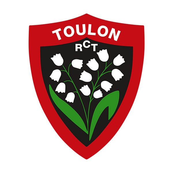 Car & Motorbike Stickers: Toulon RCT Rugby