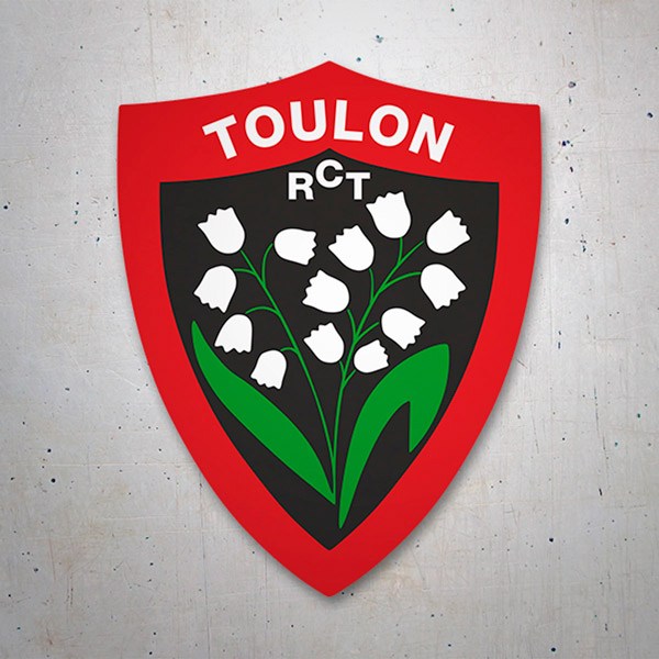 Car & Motorbike Stickers: Toulon RCT Rugby