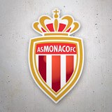 Car & Motorbike Stickers: Monaco FC 3