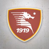 Car & Motorbike Stickers: US Salernitana 3