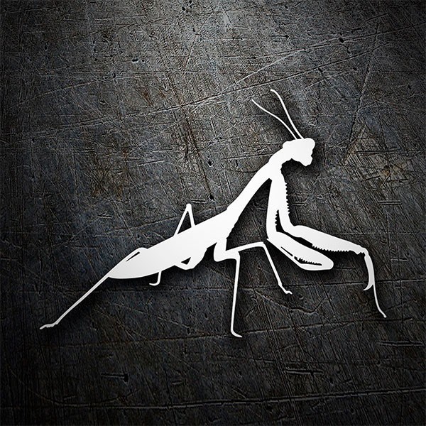 Car & Motorbike Stickers: Mantis