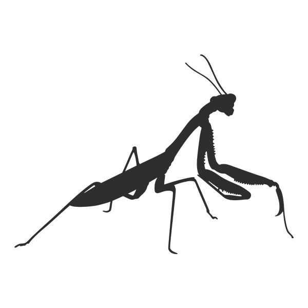 Car & Motorbike Stickers: Mantis