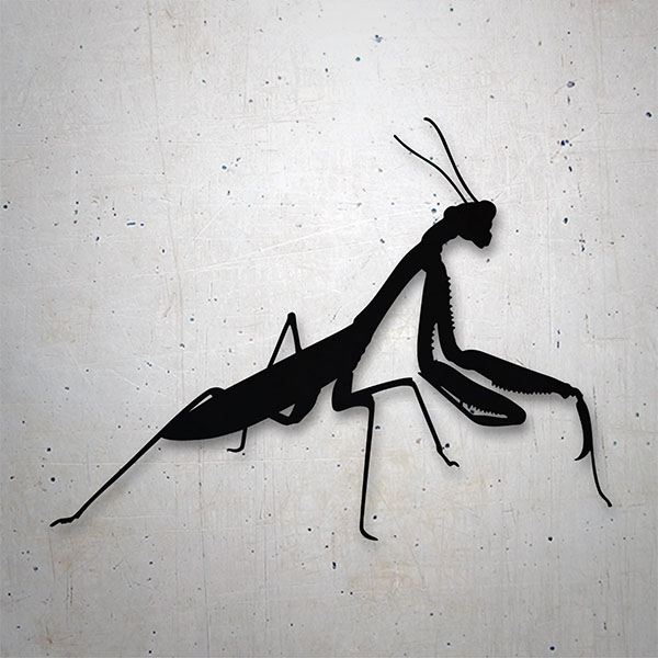 Car & Motorbike Stickers: Mantis