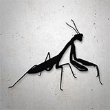 Car & Motorbike Stickers: Mantis 2