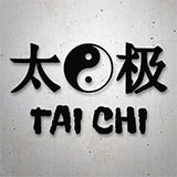 Car & Motorbike Stickers: Tai Chi Ying Yang 2