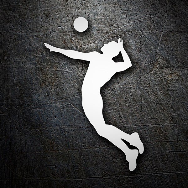 Car & Motorbike Stickers: Volleyball