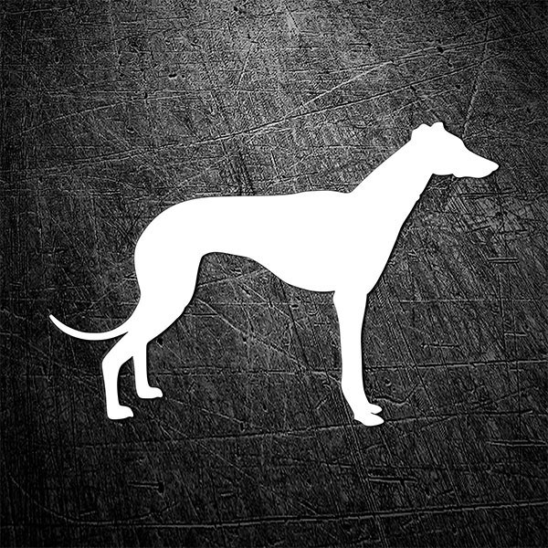 Car & Motorbike Stickers: Spanish Greyhound Silhouette