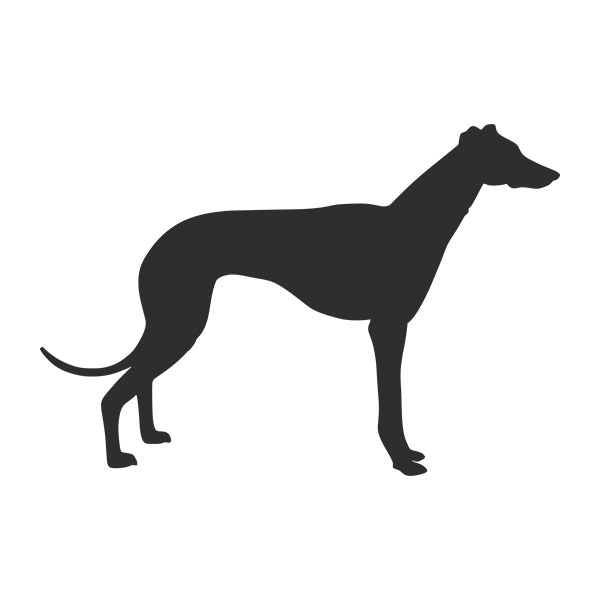 Car & Motorbike Stickers: Spanish Greyhound Silhouette