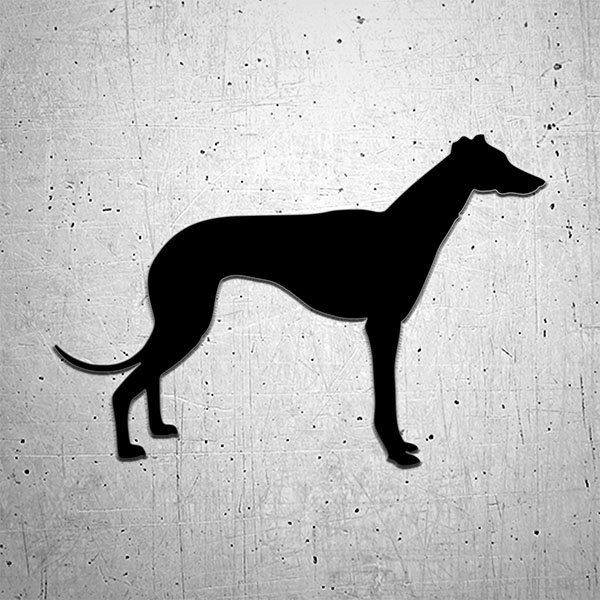Car & Motorbike Stickers: Spanish Greyhound Silhouette