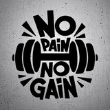 Car & Motorbike Stickers: No pain no gain 2