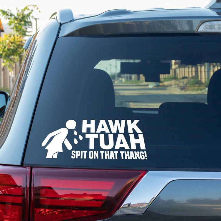 Car & Motorbike Stickers: Hawk Tuah Spitting