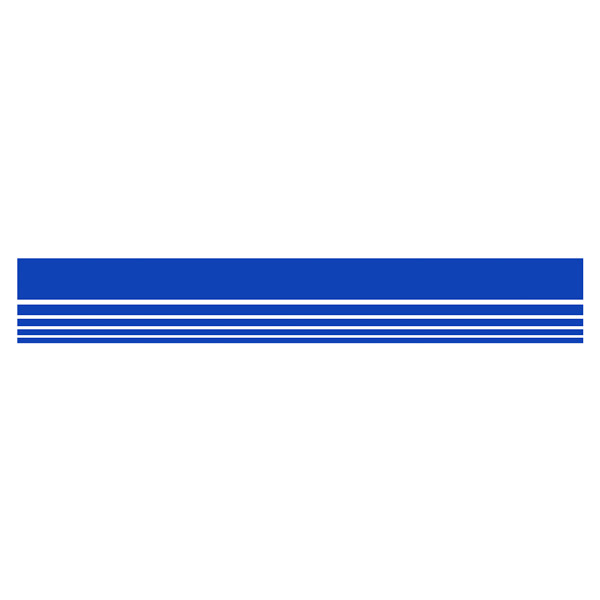 Car & Motorbike Stickers: Stripes Ford Rally Classic