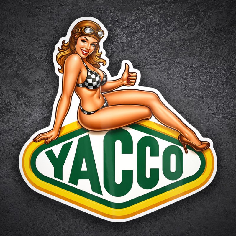 Car & Motorbike Stickers: Yacco Pin-Up Racing Girl