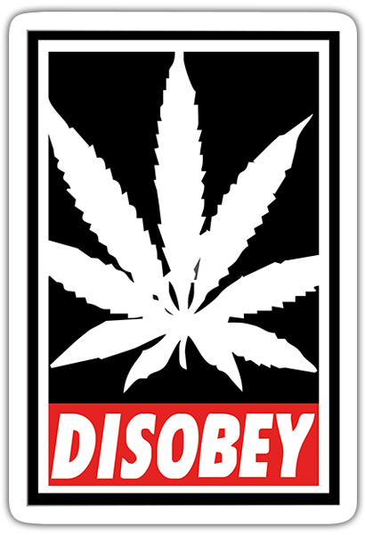 Car & Motorbike Stickers: Disobey marijuana