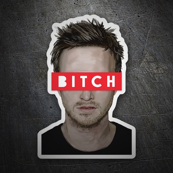 Jesse Pinkman Bitch 0