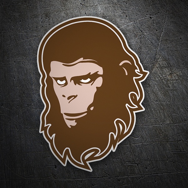 Car & Motorbike Stickers: planet of the apes