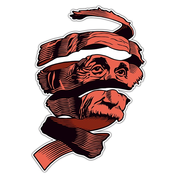 Car & Motorbike Stickers: Einstein