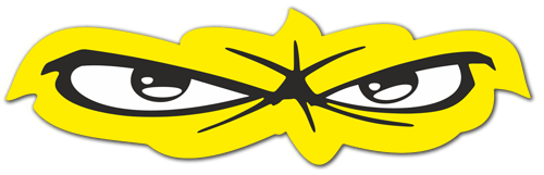 Car & Motorbike Stickers: Intense Tiger Gaze