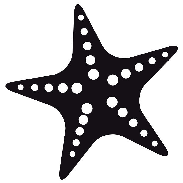 Car & Motorbike Stickers: Starfish