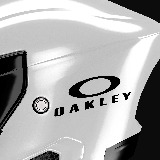 Car & Motorbike Stickers: Oakley Logo in Oval 2