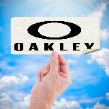 Car & Motorbike Stickers: Oakley Logo in Oval 4