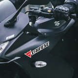 Car & Motorbike Stickers: Dainese classic 4