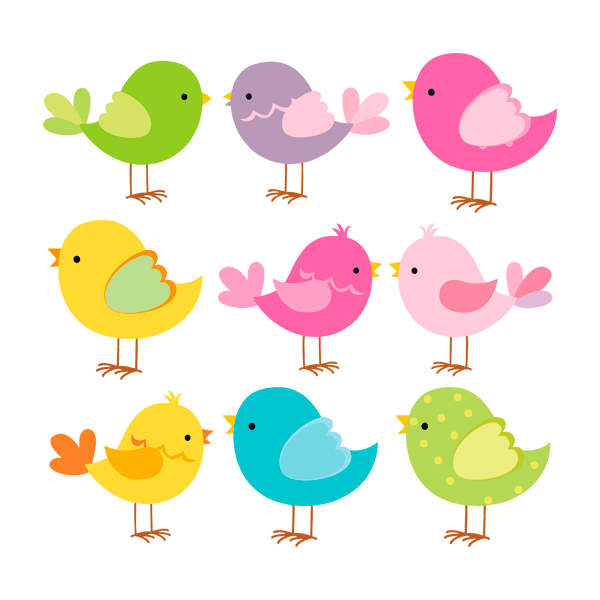 Stickers for Kids: Birds Kit color