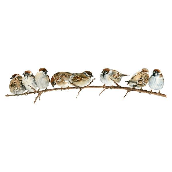 Wall Stickers: Sparrows on the Branch