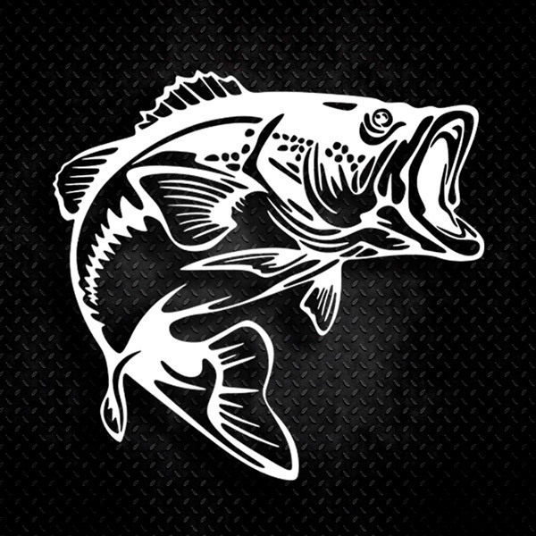 Car & Motorbike Stickers: River Trout