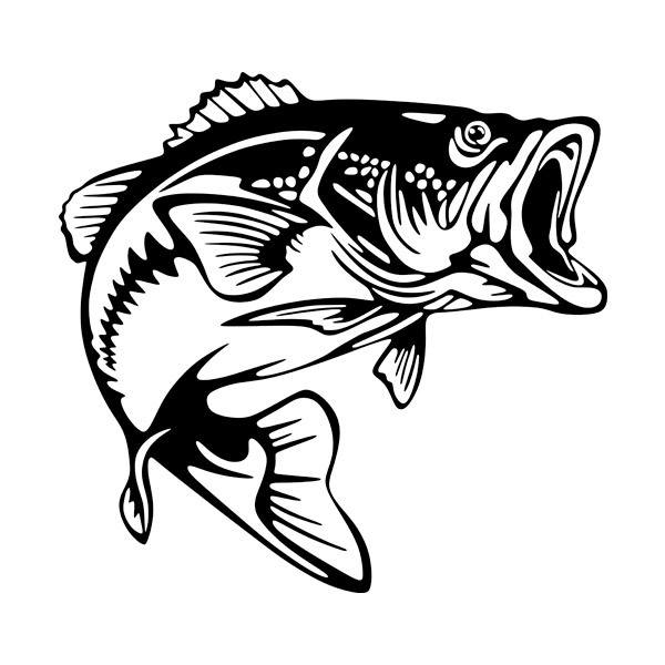 Car & Motorbike Stickers: River Trout