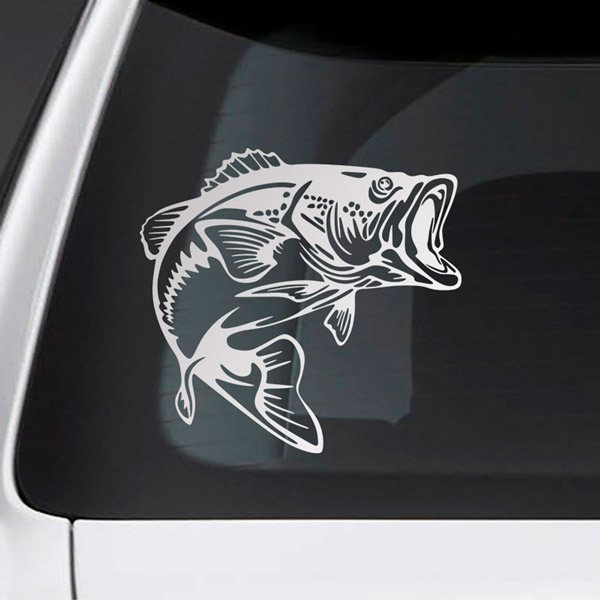 Car & Motorbike Stickers: River Trout