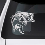 Car & Motorbike Stickers: River Trout 3
