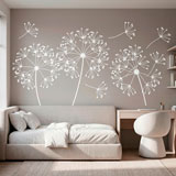 Wall Stickers: Dandelions 11