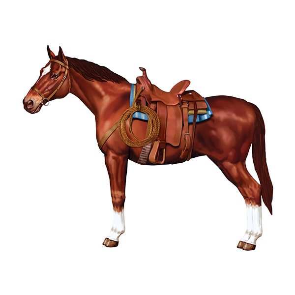 Wall Stickers: Horse Riding